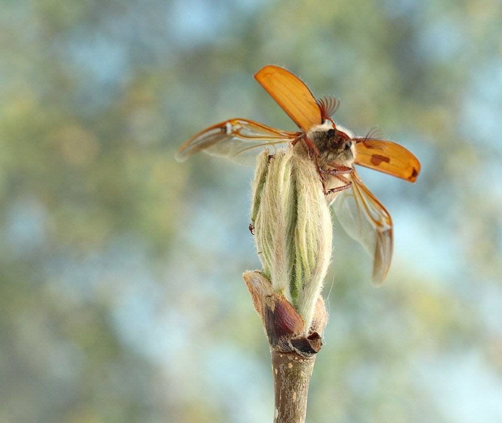 , Сергей Таланов