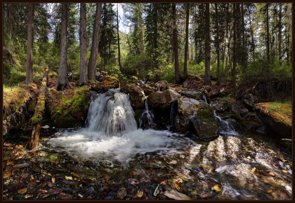 алтай, виталий, вода, лес, орой, ручей, ярославский, Виталий из Н-ска