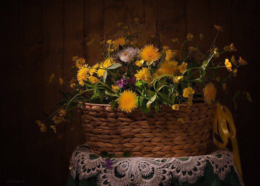 , Светлана Л.