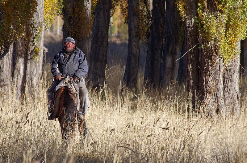 киргизия, иссык-куль, осень, пастух О Киргизии... фото превью