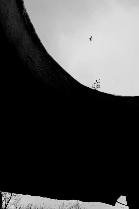 Две судьбы фото превью