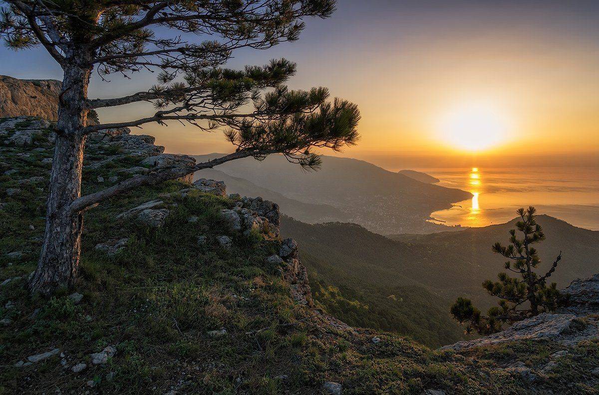 , Игорь Мелекесцев