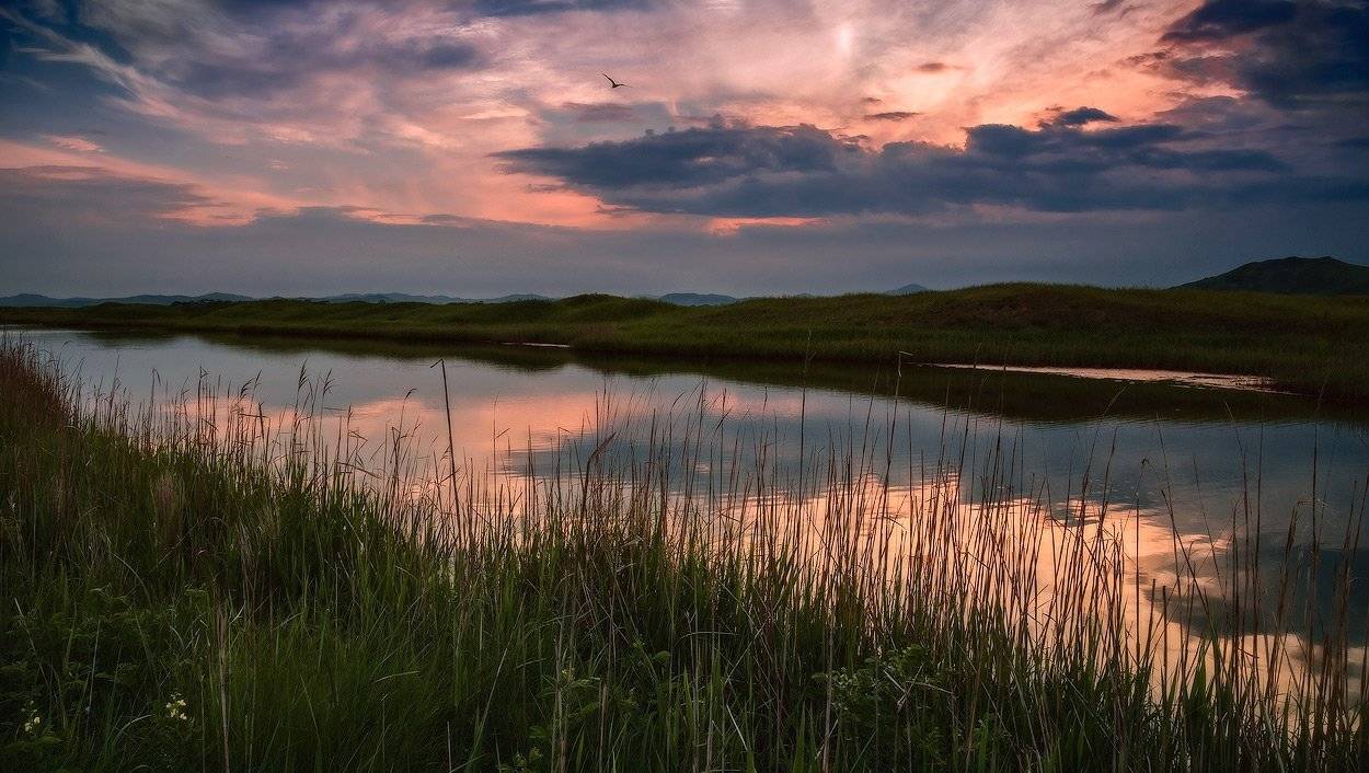 , Андрей Кровлин