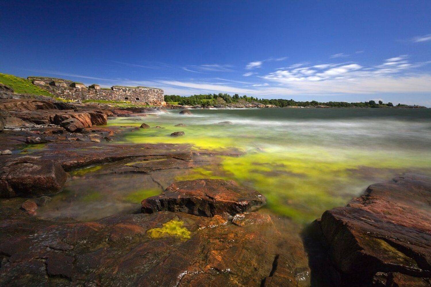 , Дара Пилюгина