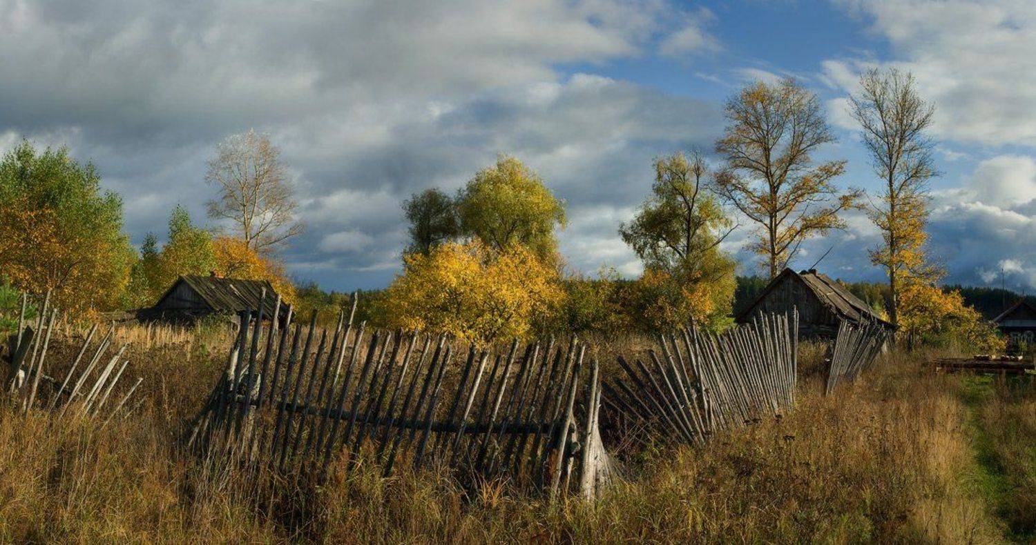 , Дмитрий Алексеев
