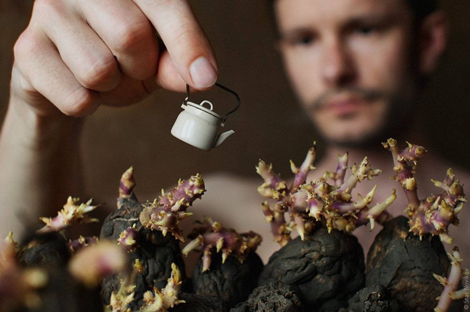 , Станислав Новиков