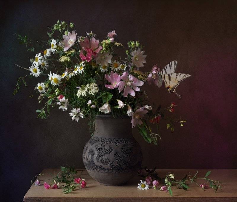 , Зоя Сорока