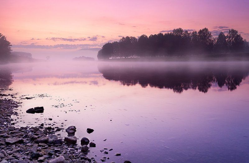 Портфолио фото превью