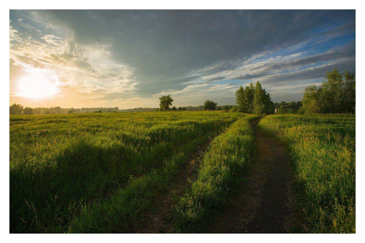 , Владимир Ляпин