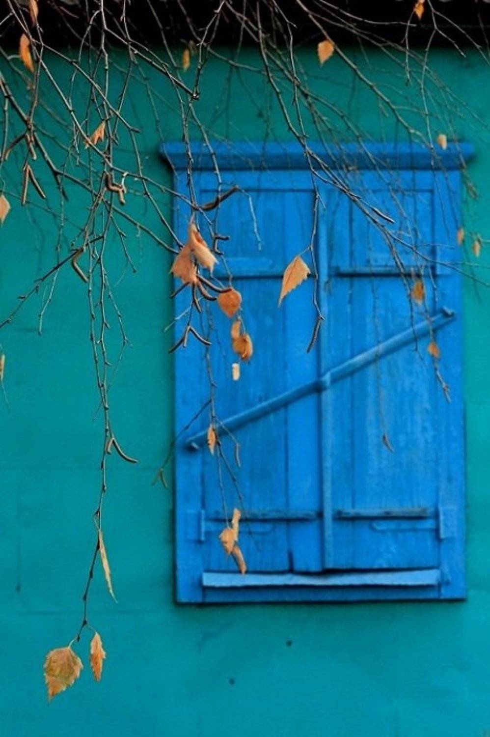 , Сюзанна Шевченко