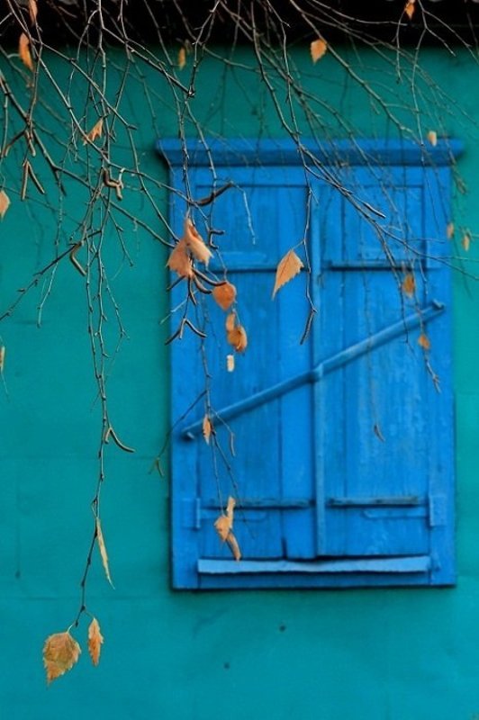 ,,, фото превью