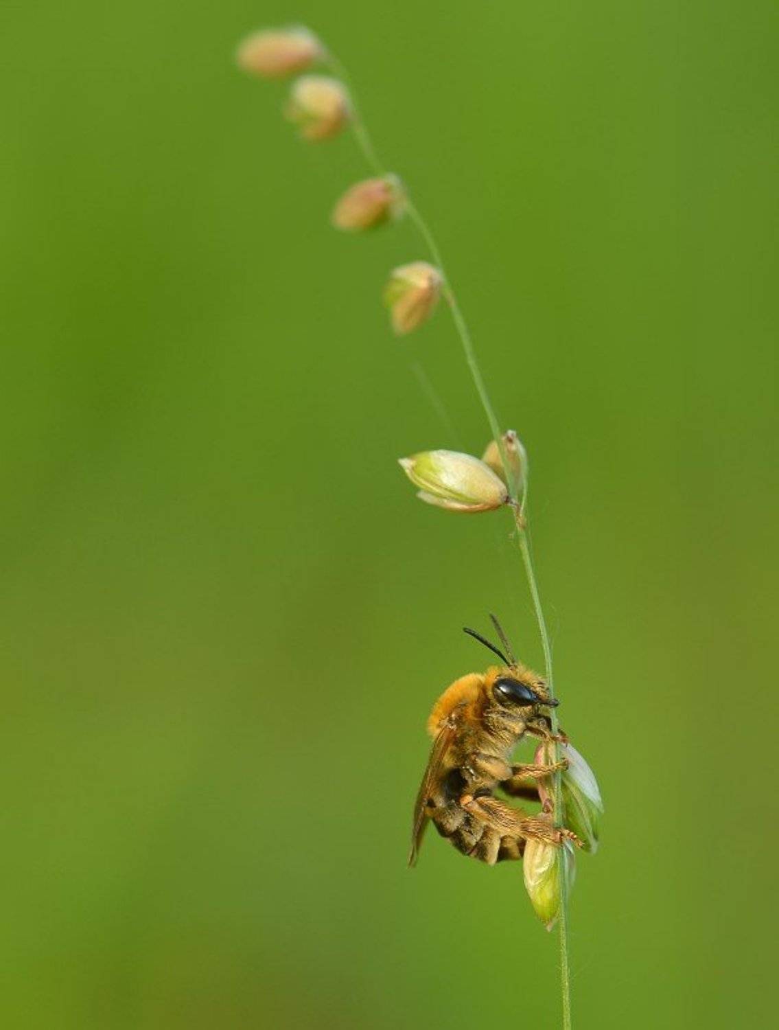 , Александр Юкарев