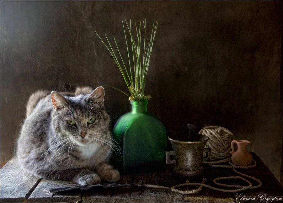 , Eleonora Grigorjeva