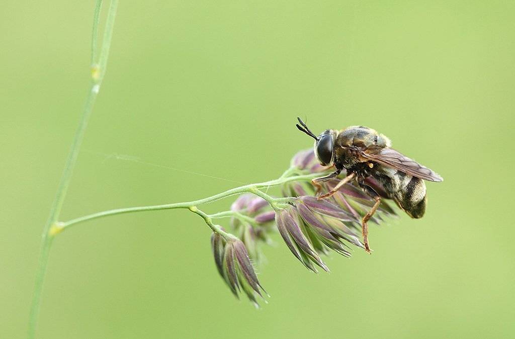 , Сергей Таланов