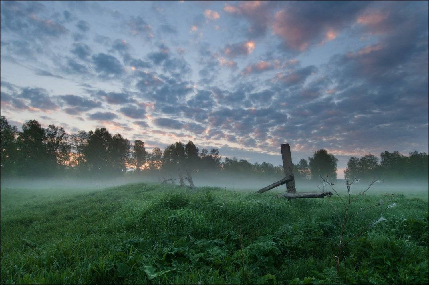, Евгений Мартов