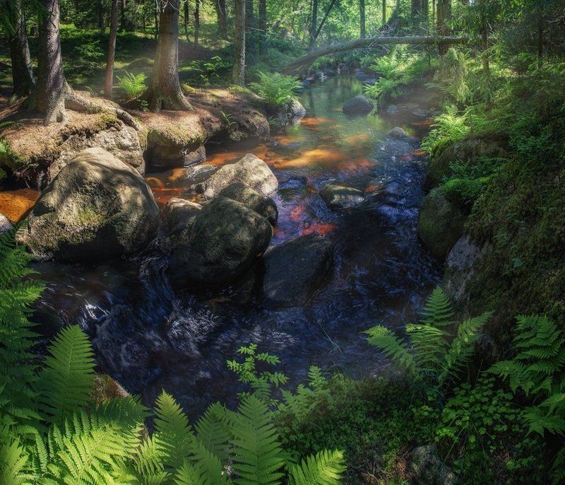 Лето пришло к ручью фото превью