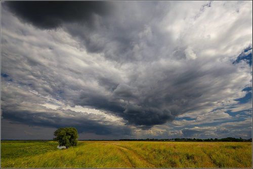 А дождя так и не случилось...