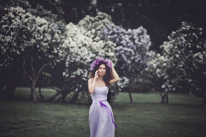 Сирень фото превью