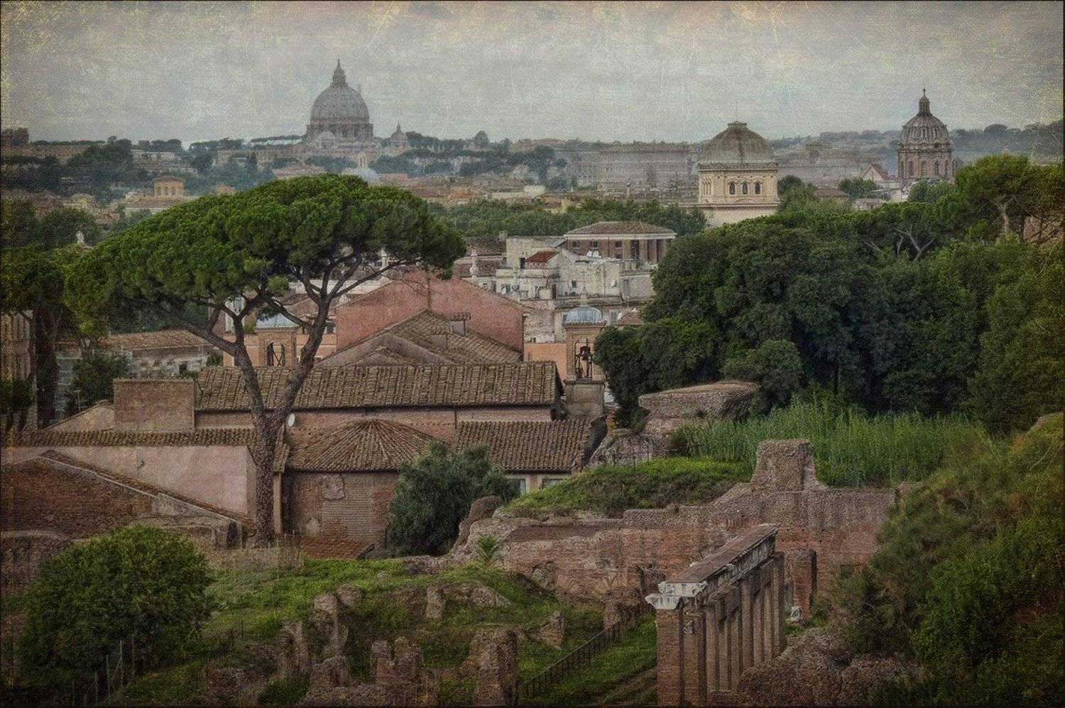 , Ольга Хлуднева