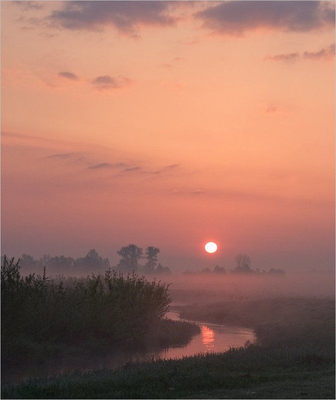 майским утром... фото превью