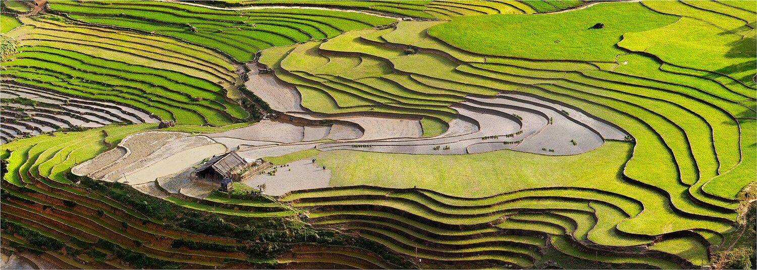 вьетнам, рисовые, террасы, Yury Pustovoy (artphoto-tour.com)