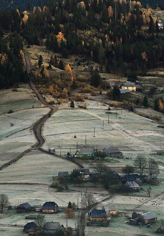 первый иней фото превью