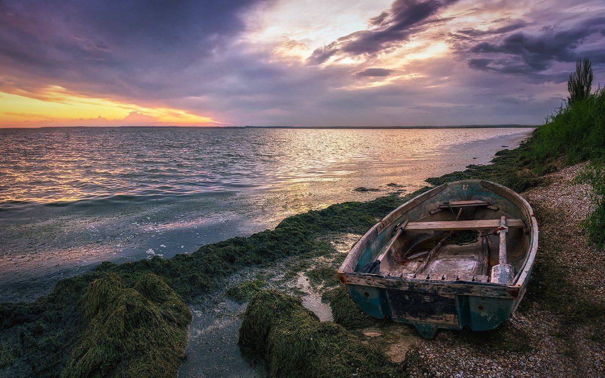 , Игорь Мелекесцев