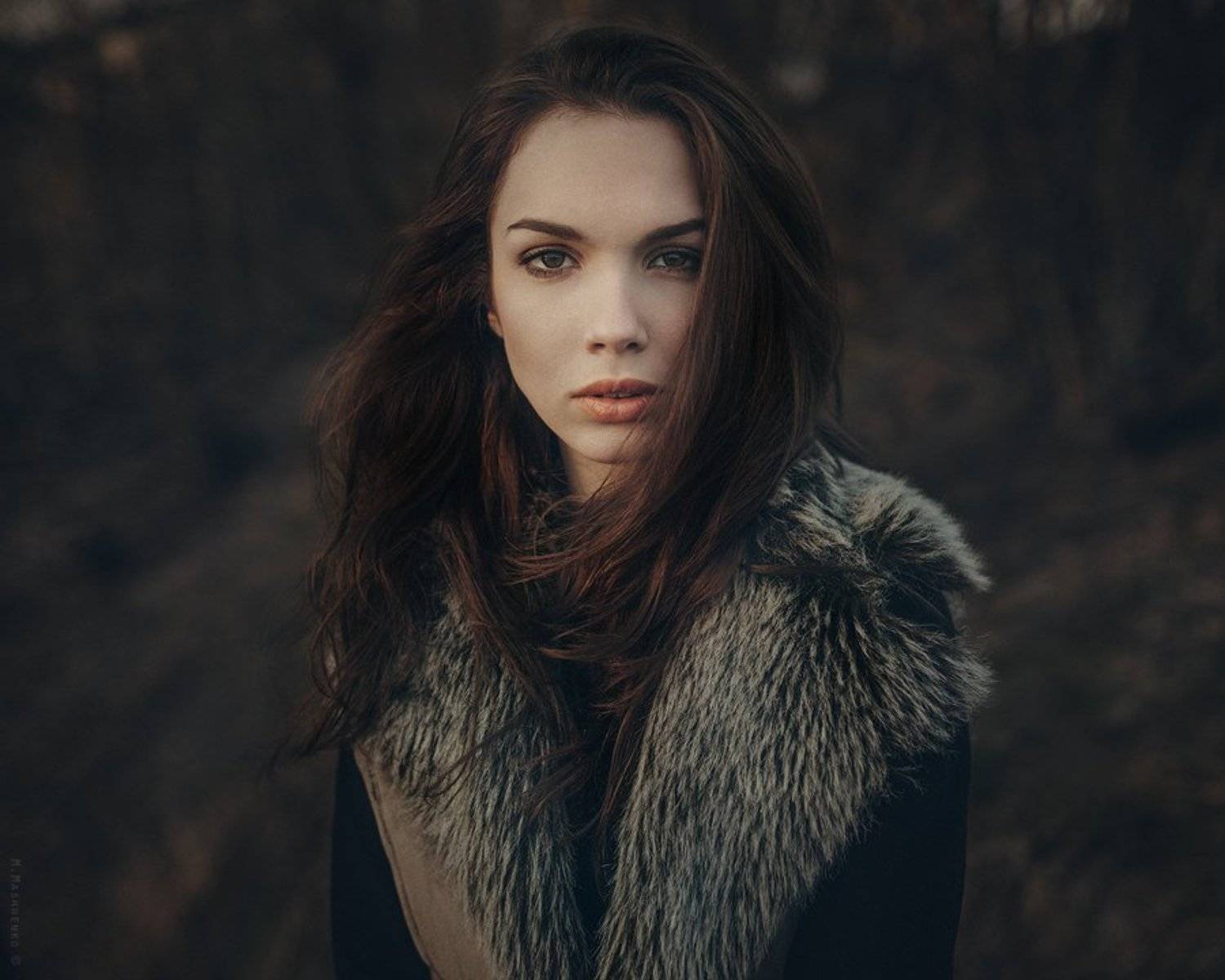 , Машненко Максим