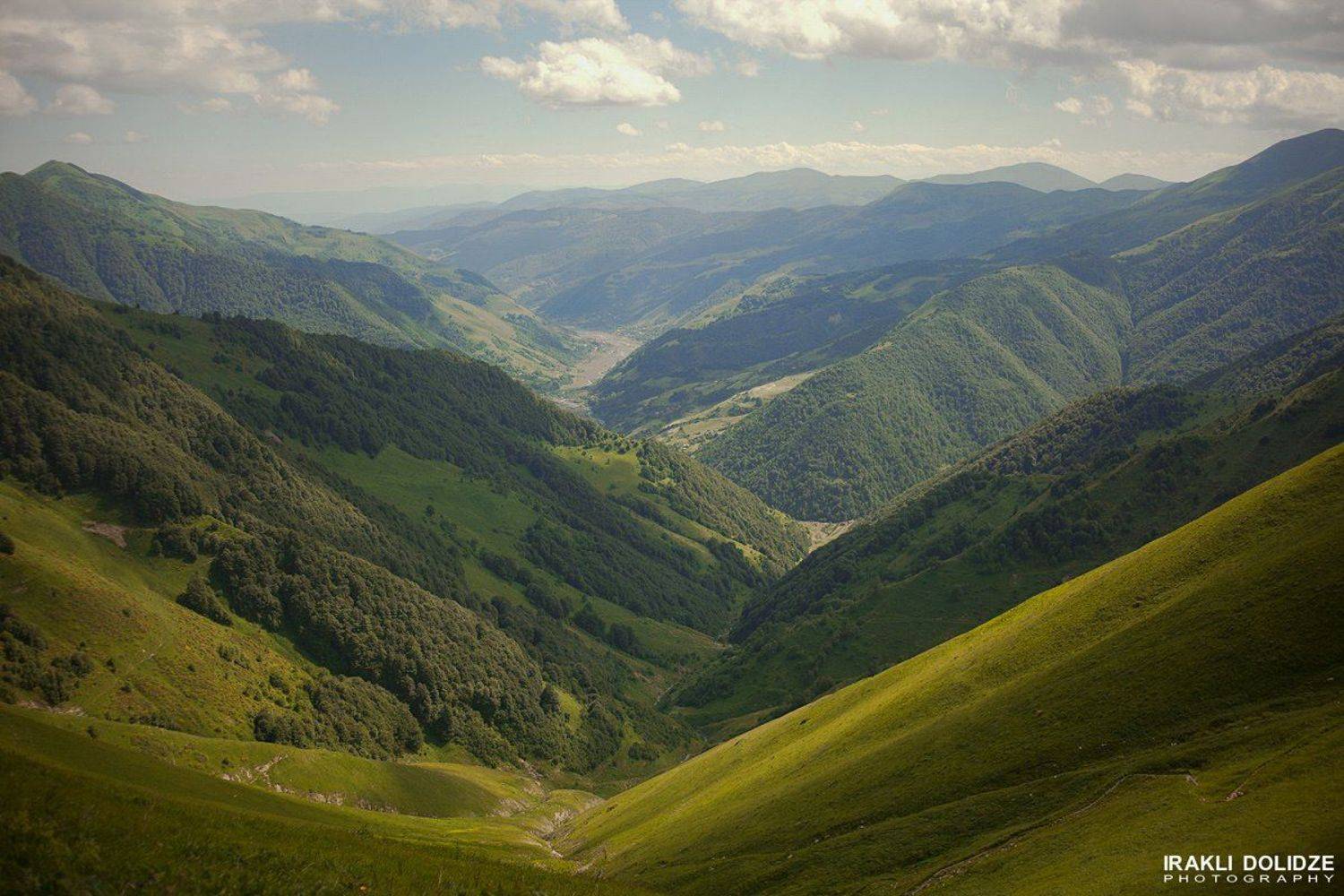 , ირაკლი დოლიძე
