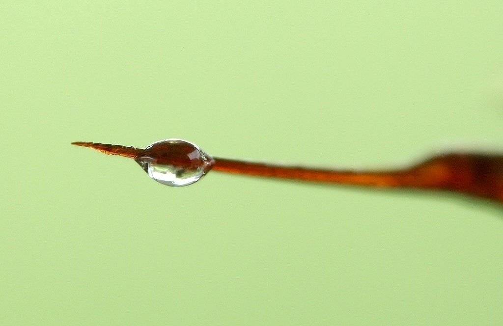 , Сергей Таланов