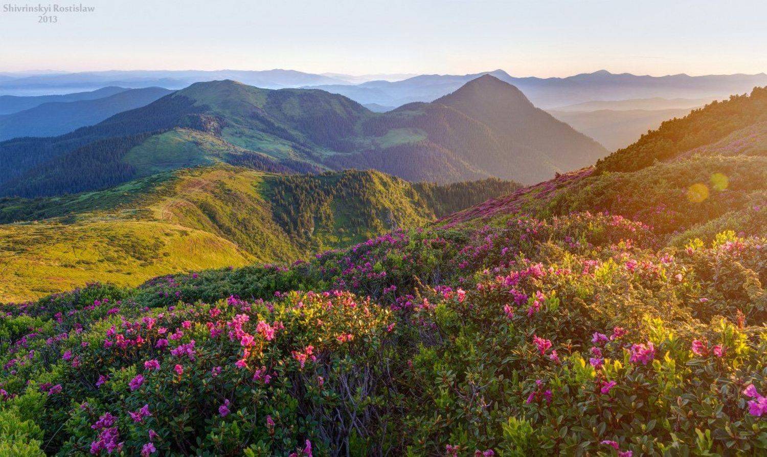 , Шивринский Ростислав