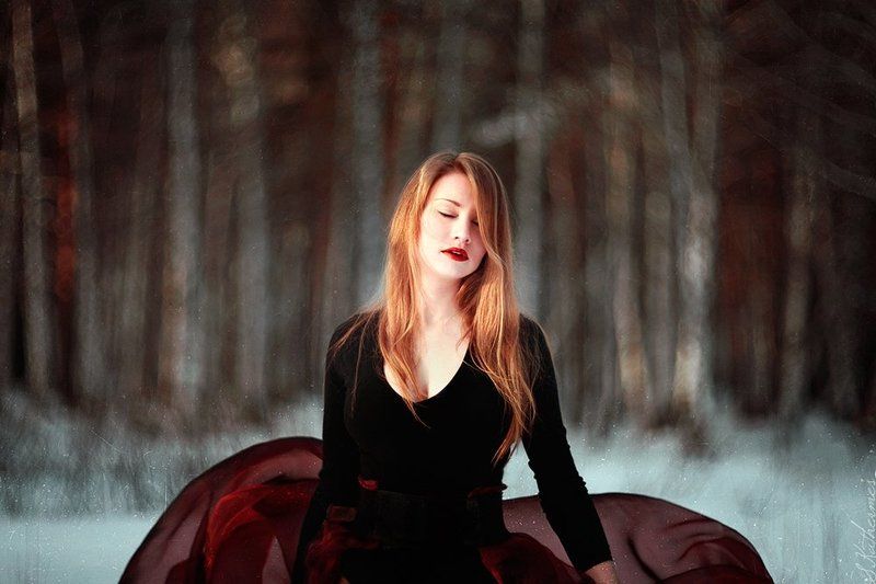 Rosebud фото превью