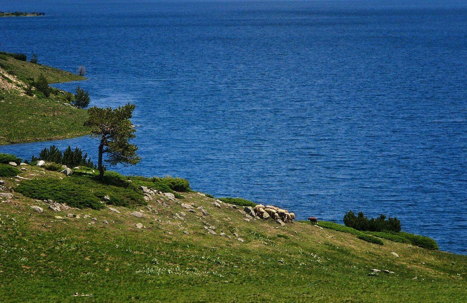 , Ирина Костова