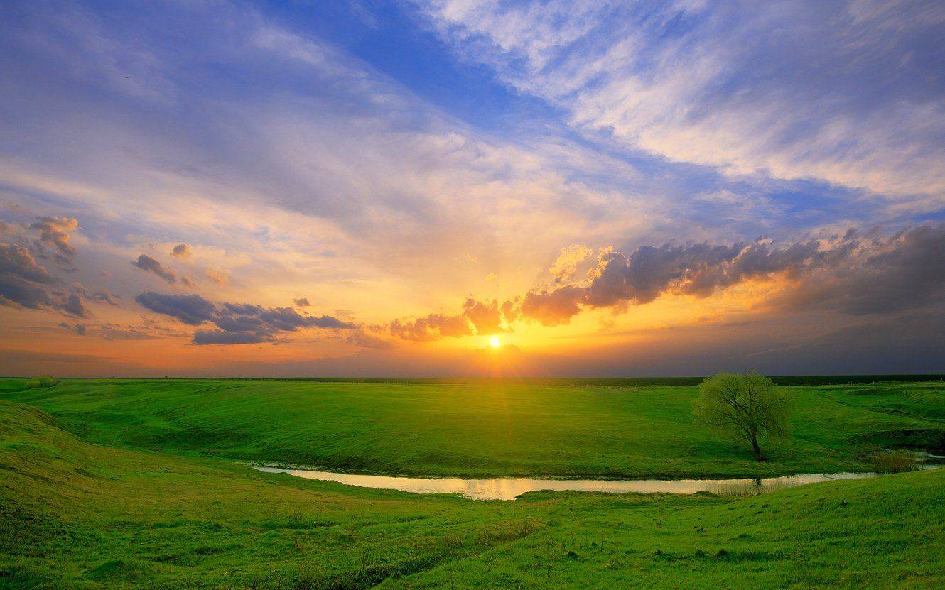 , Алексей Горохов