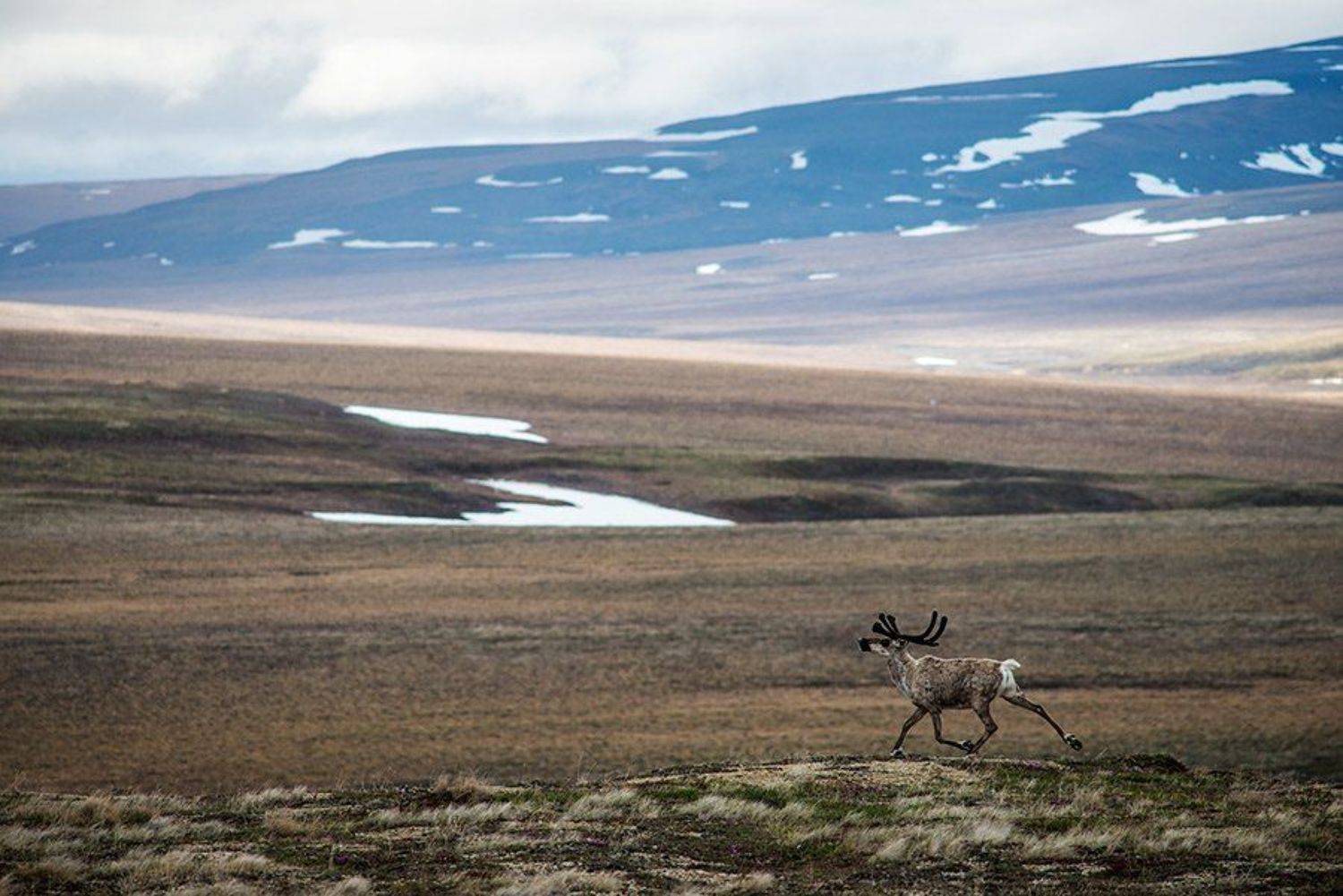 , Иван Кислов