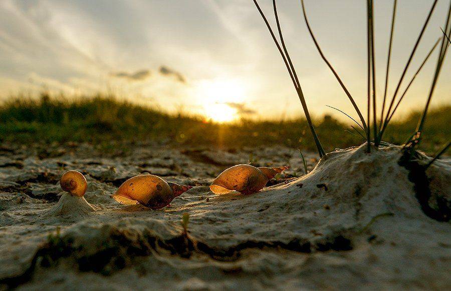 , Клименко Геннадий