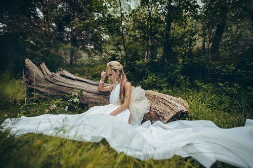 magic wood