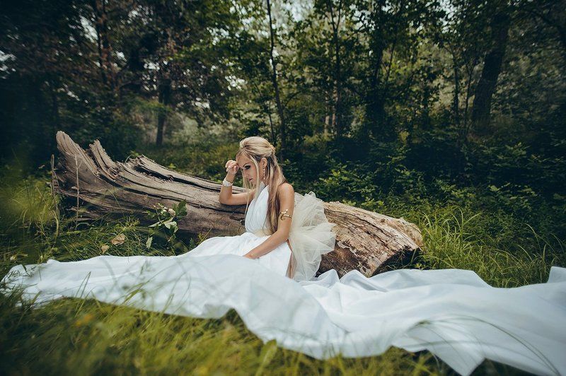 magic wood фото превью