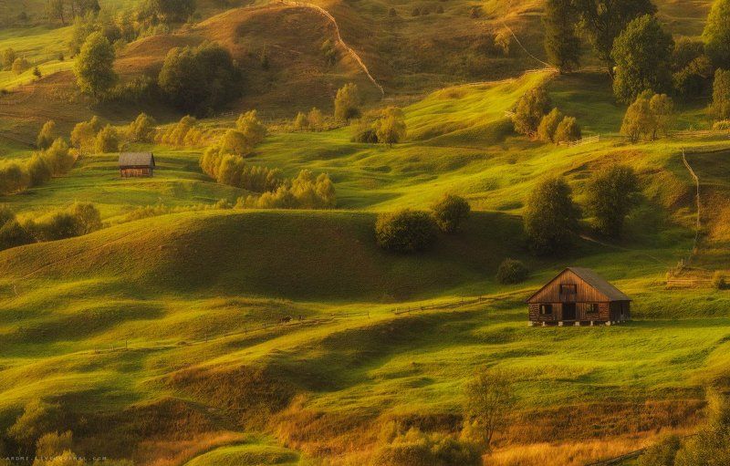ЛЕТО В КАРПАТАХ