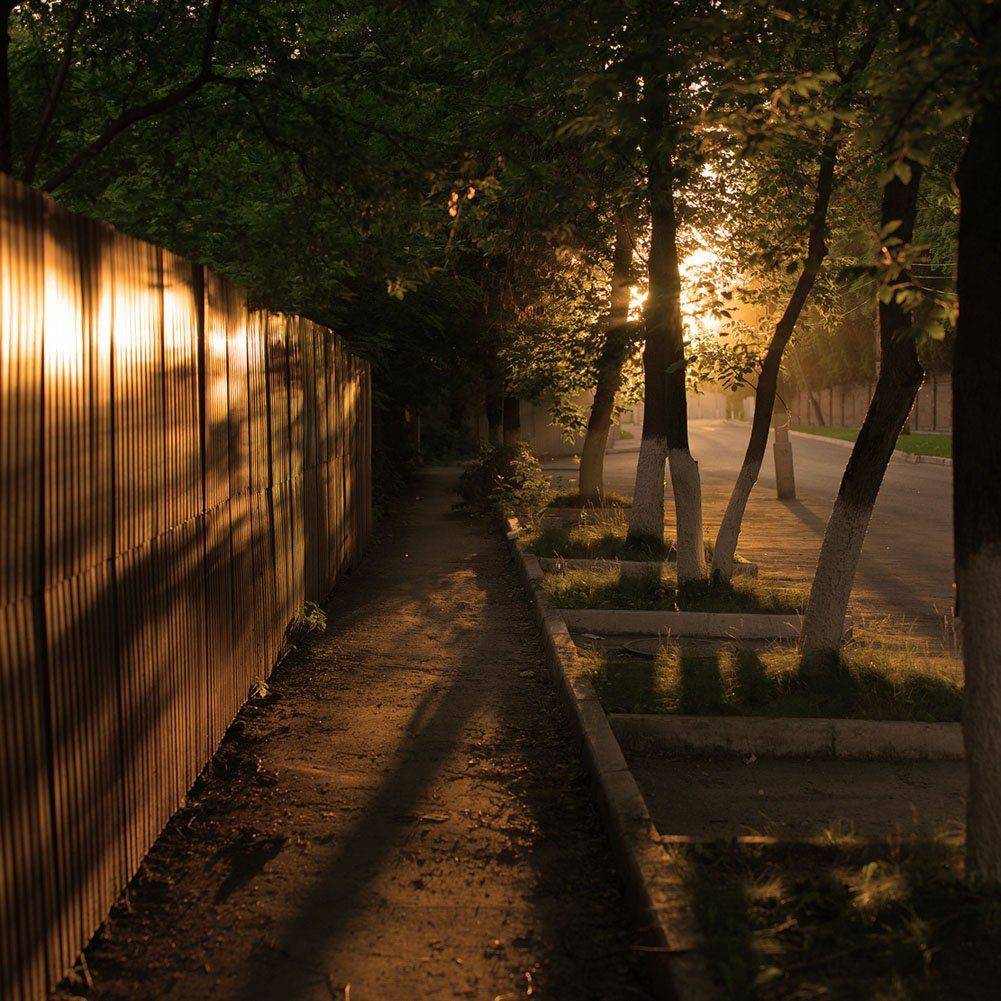 , Роман Белоцерковец