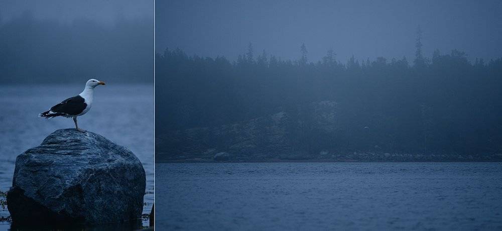 , Илья Гомыранов