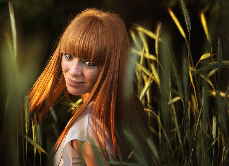 Sunny day фото превью