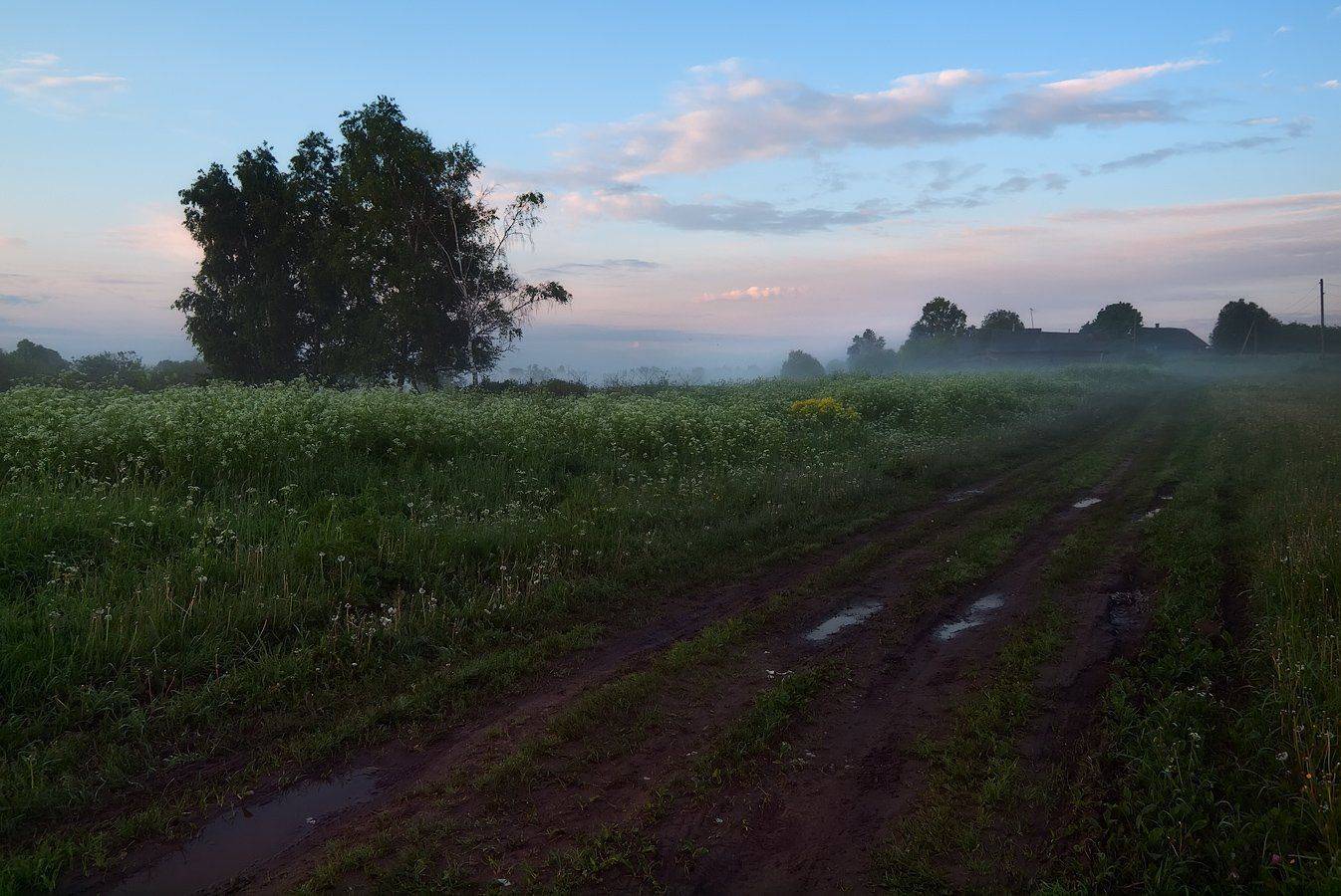, Владимир Перепечаев
