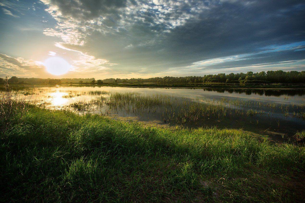 , Владимир Ляпин