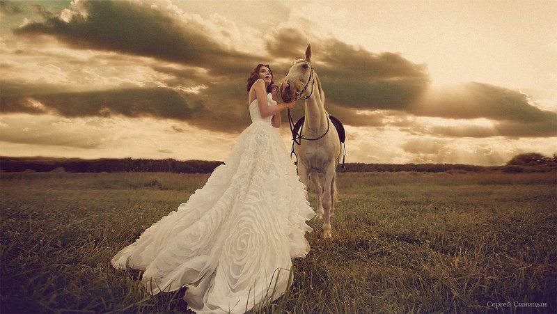 Лошадка фото превью