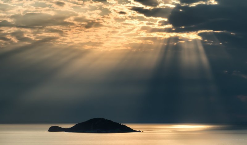 Тортилла и заяц фото превью