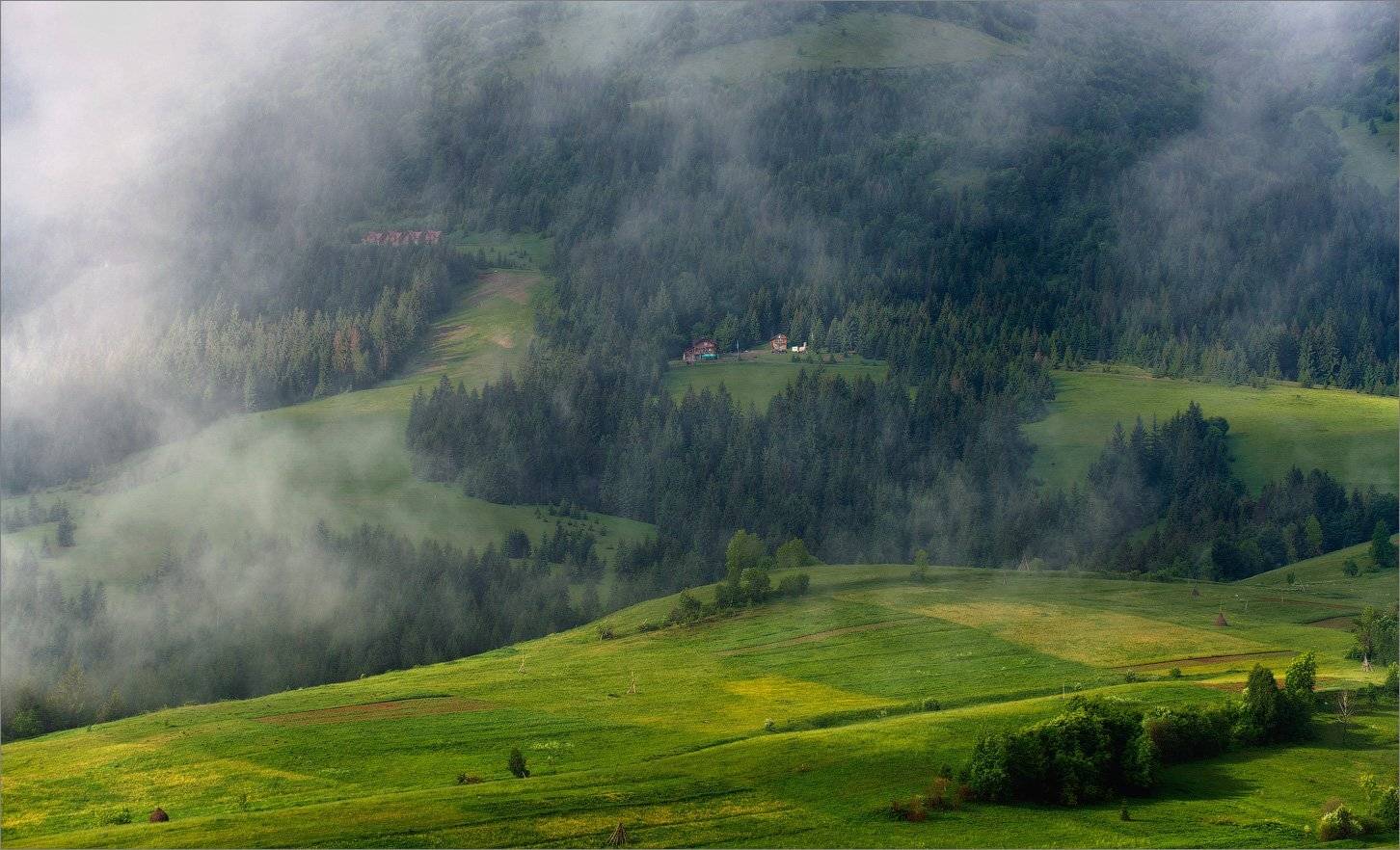 , Алексеевич