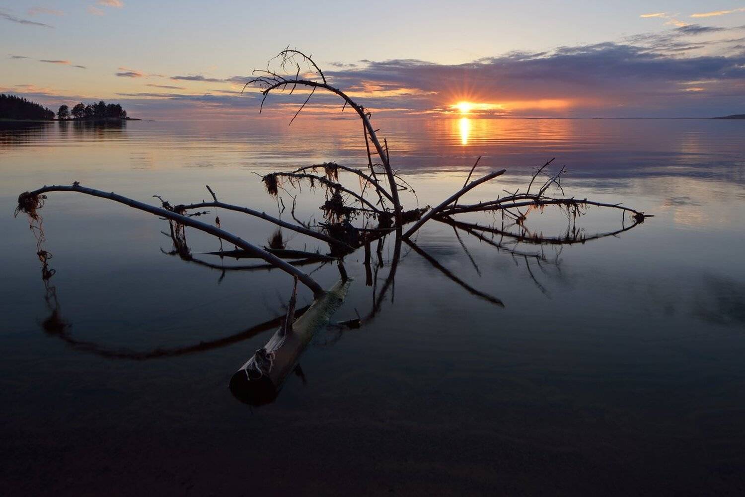 , Максим Евдокимов