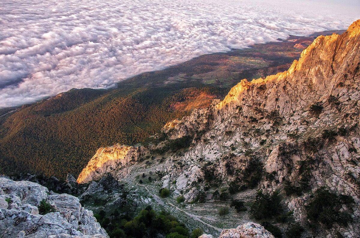 , Игорь Мелекесцев