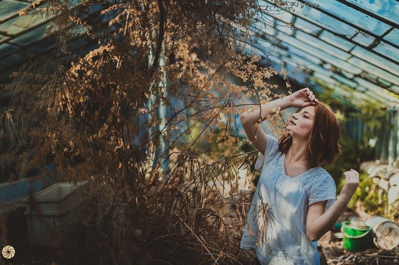 **** фото превью